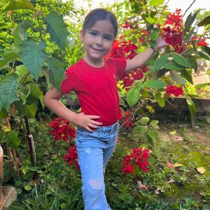 Polera cuello redondo de niña