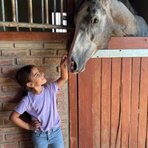 Polera cuello redondo
